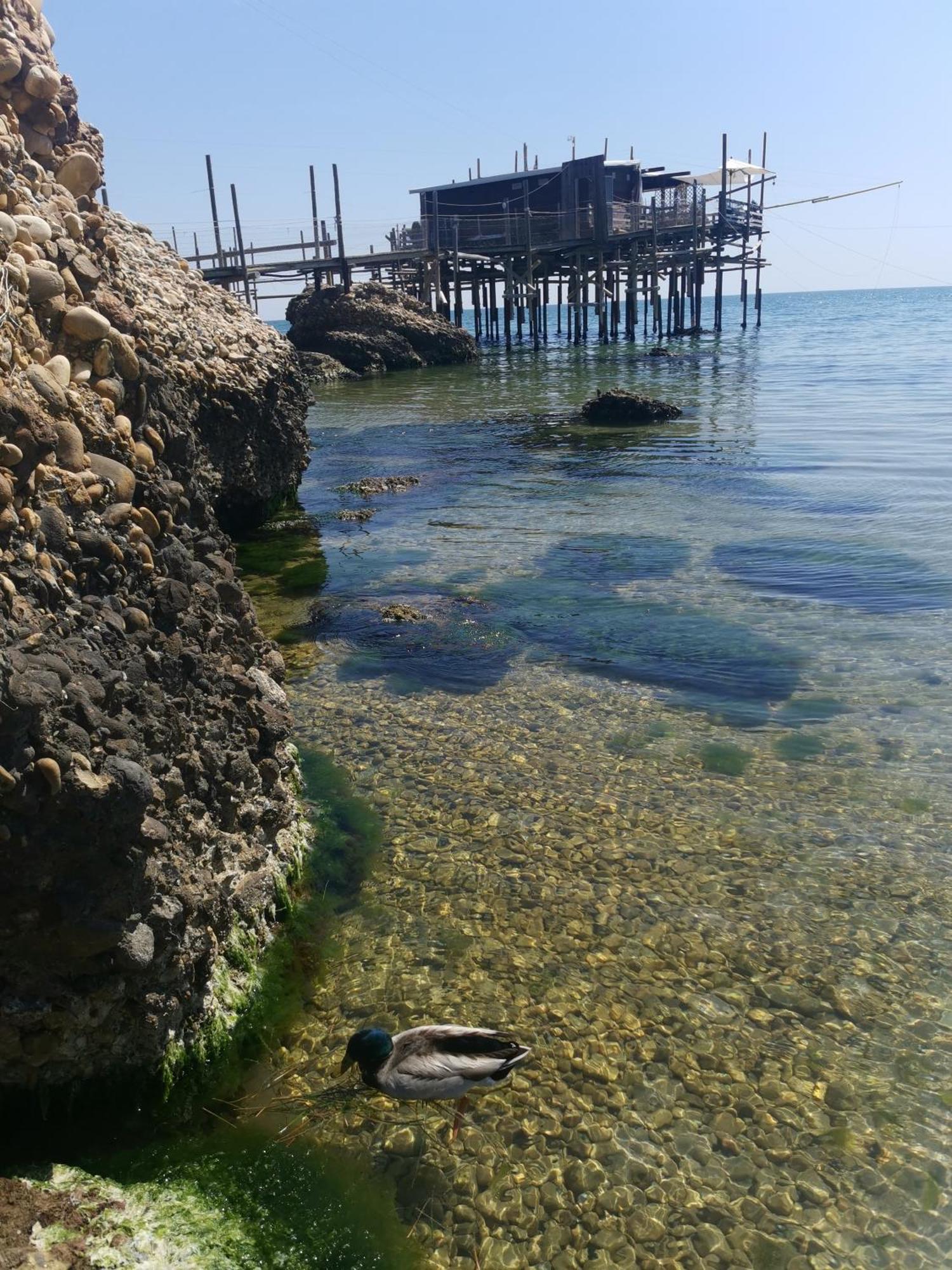 Apartament Casa La Noce Vasto Zewnętrze zdjęcie